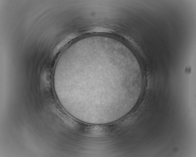 X0000114141266200911051413