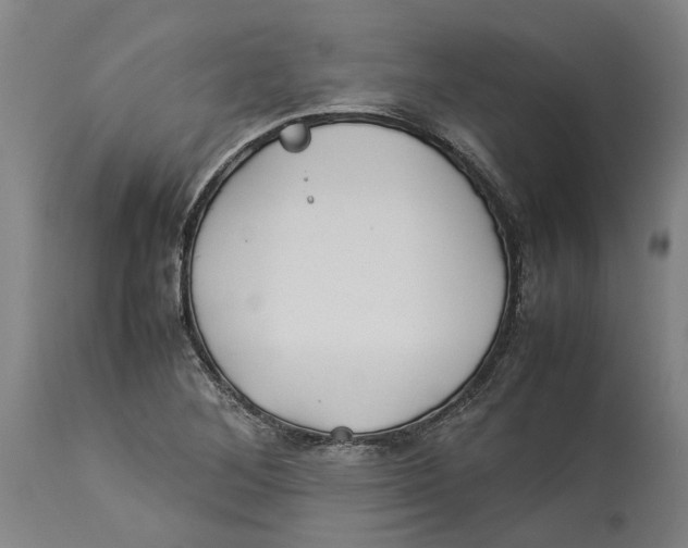 X0000114141268200911051413