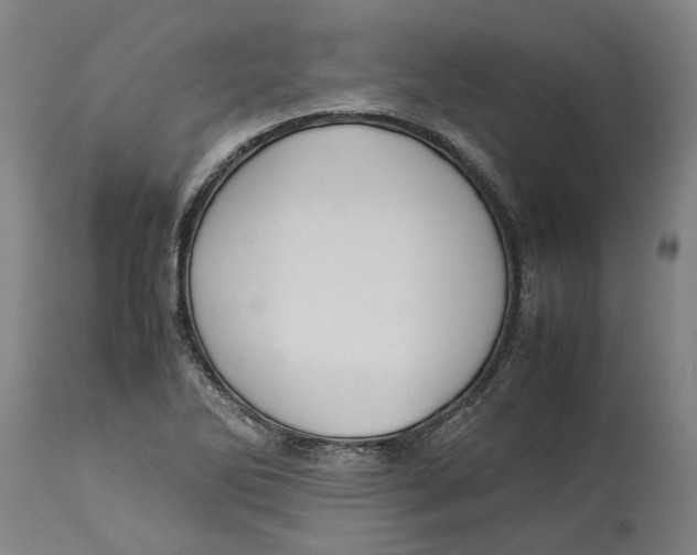 X0000114141270200911051413