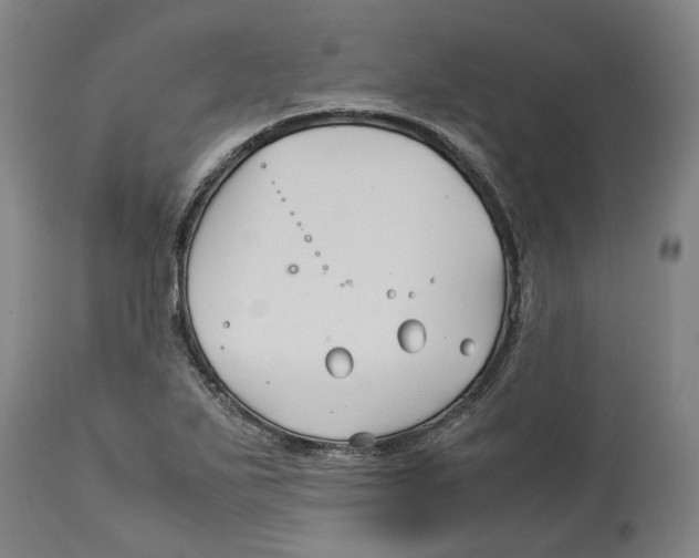 X0000114141271200911051413