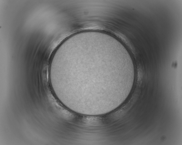 X0000114141274200911051413