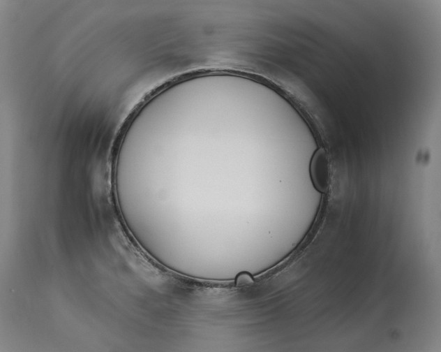 X0000114141280200911051413