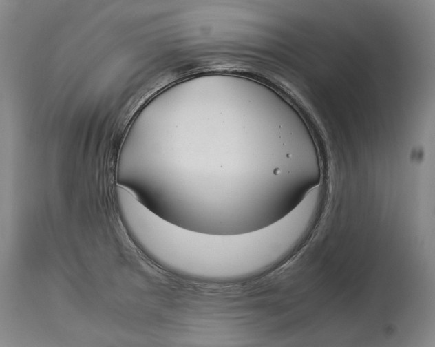 X0000114141281200911051413