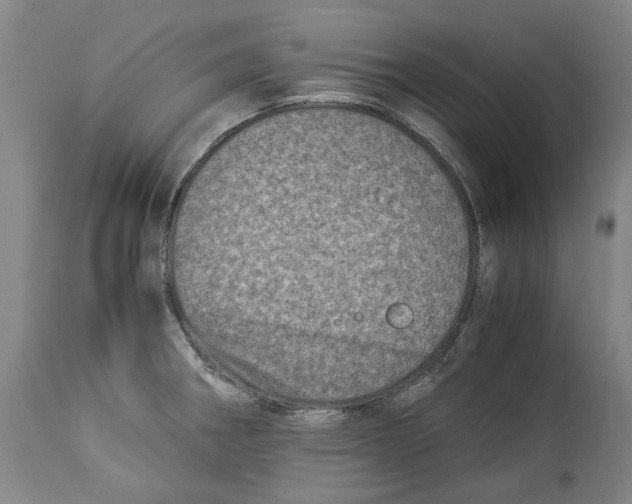 X0000114141282200911051413