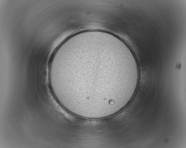 X0000114141286200911051413