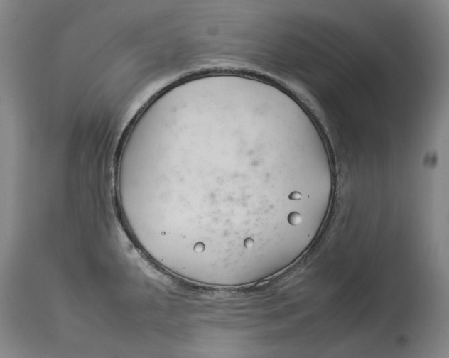 X0000114141287200911051413