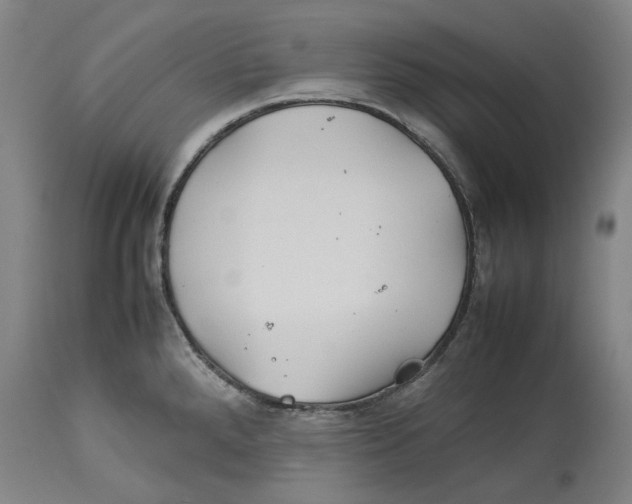 X0000114141288200911051413