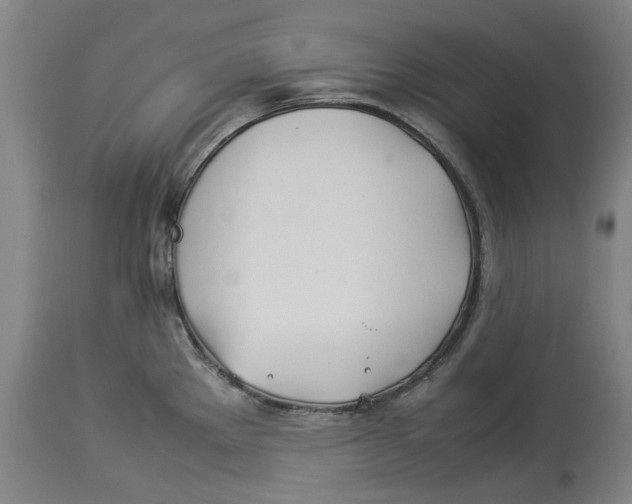 X0000114141289200911051413