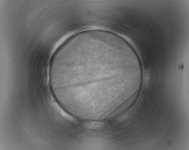 X0000114141294200911051413