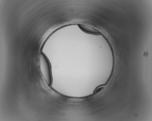 X0000114141296200911051413