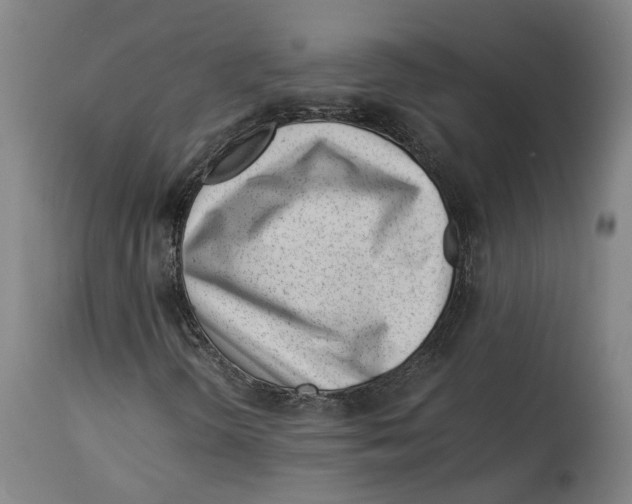 X0000114141298200911051412