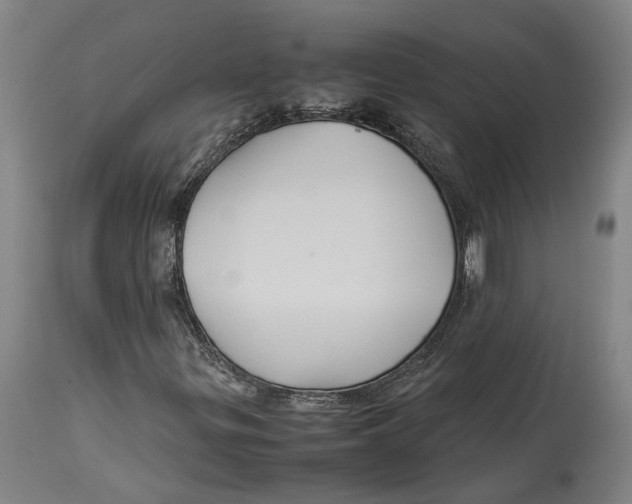 X0000114141299200911051412