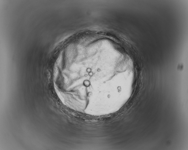 X0000114141302200911051412