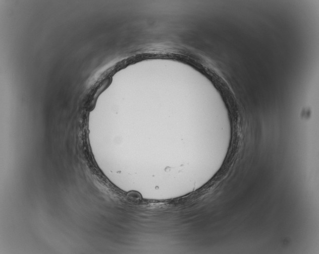 X0000114141304200911051412