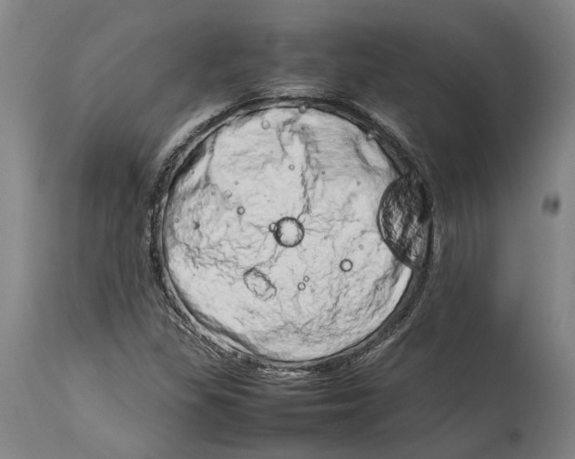 X0000114141309200911051412