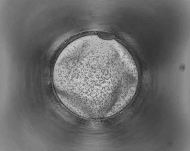 X0000114141310200911051412