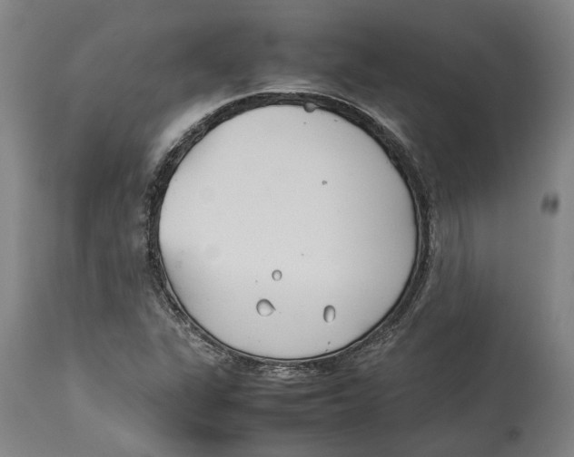 X0000114141311200911051412