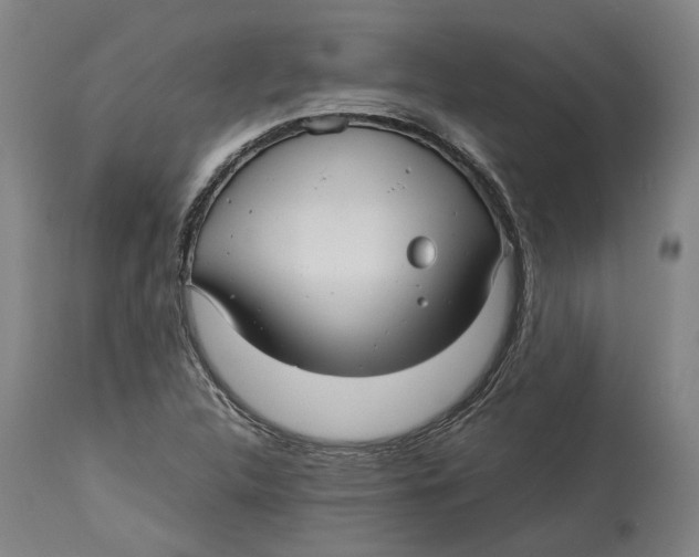 X0000114141312200911051412