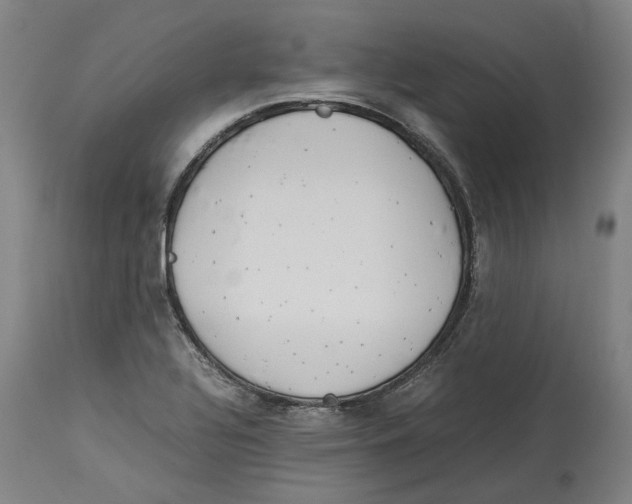 X0000114141320200911051412