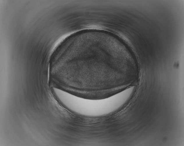 X0000114141323200911051412