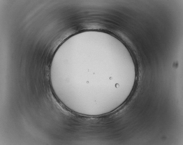 X0000114141329200911051412