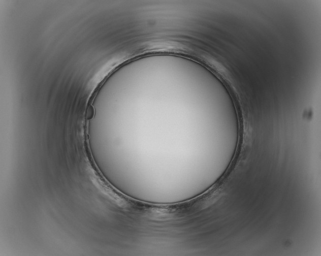 X0000114141330200911051412