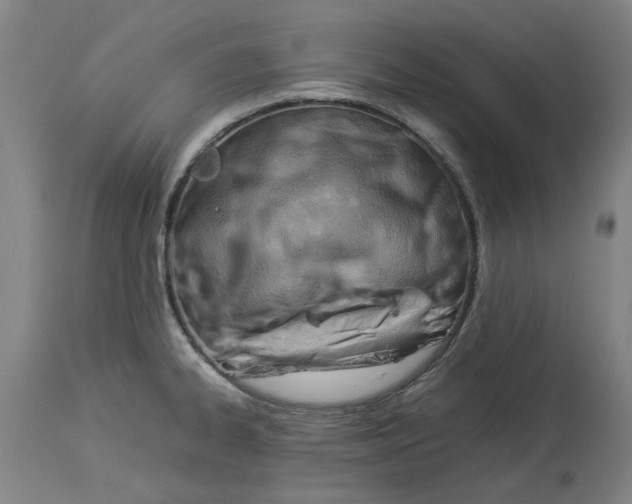 X0000114141334200911051413