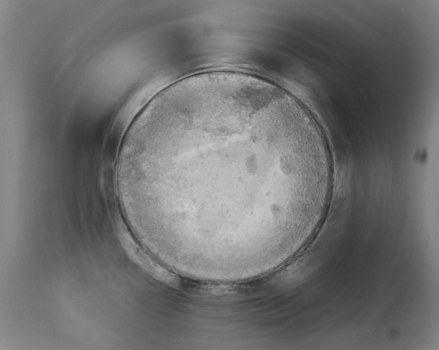 X0000114141338200911051413