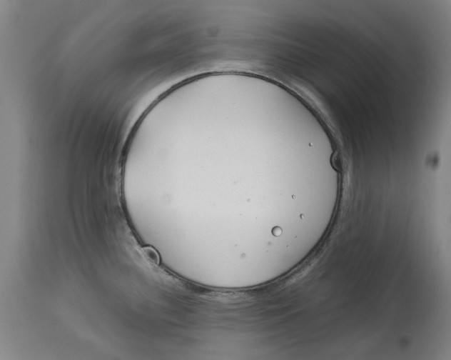 X0000114141340200911051413