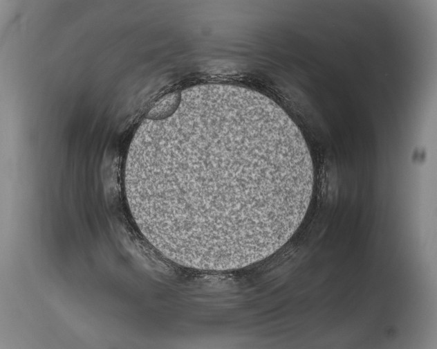 X0000114141346200911051412