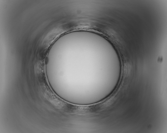 X0000114141353200911051412