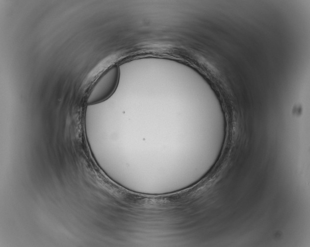 X0000114141354200911051412