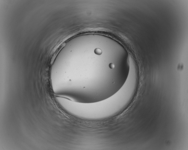 X0000114141361200911051412