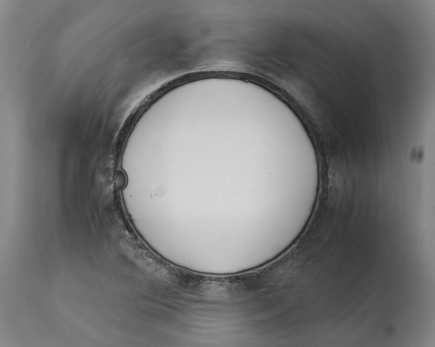 X0000114141364200911051412