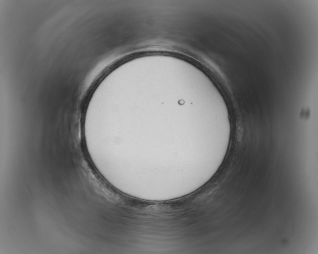 X0000114141368200911051412