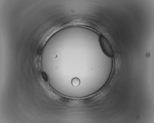 X0000114141369200911051412