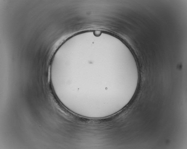 X0000114141371200911051412