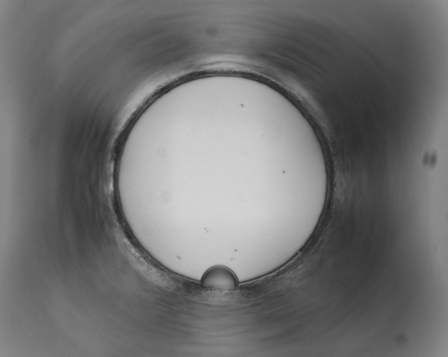 X0000114141376200911051411