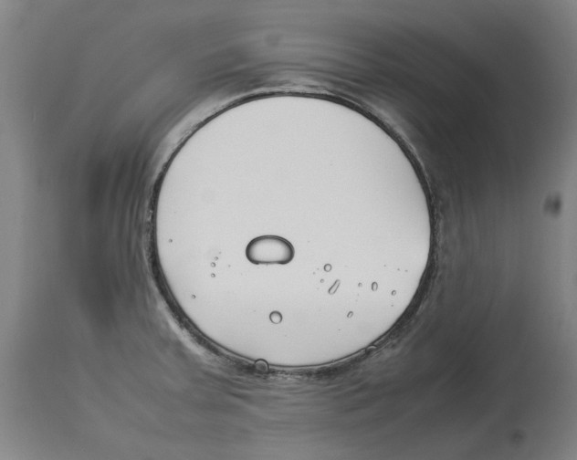 X0000114141379200911051411