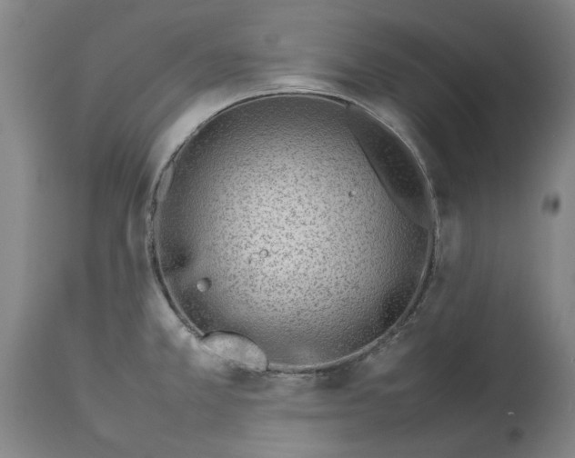 X0000114141381200911051411