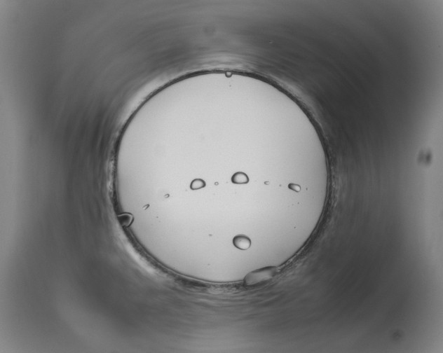 X0000114141383200911051411