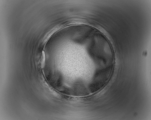 X0000114141385200911051411