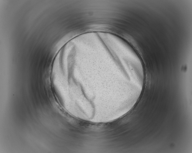 X0000114141386200911051411