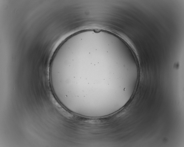 X0000114141388200911051411