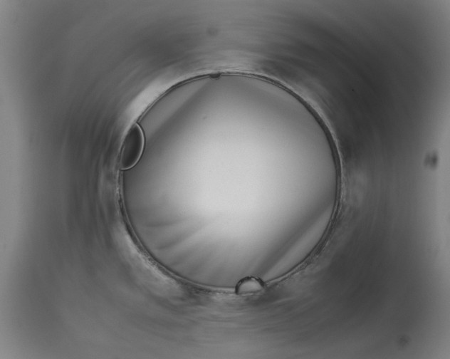 X0000114141389200911051411