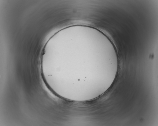 X0000114141391200911051411