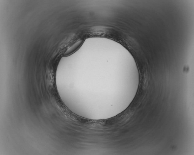 X0000114141394200911051410