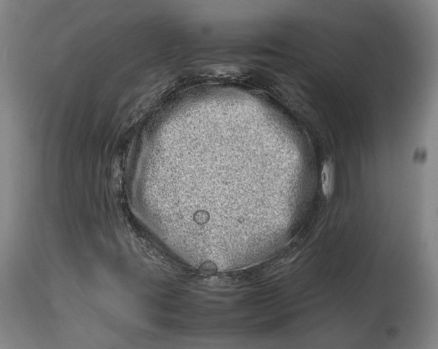 X0000114141395200911051410