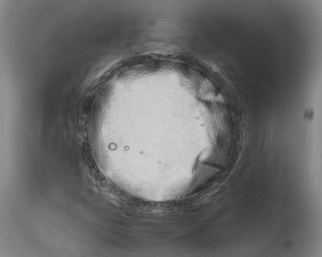 X0000114141399200911051410