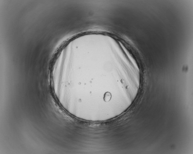 X0000114141408200911051411